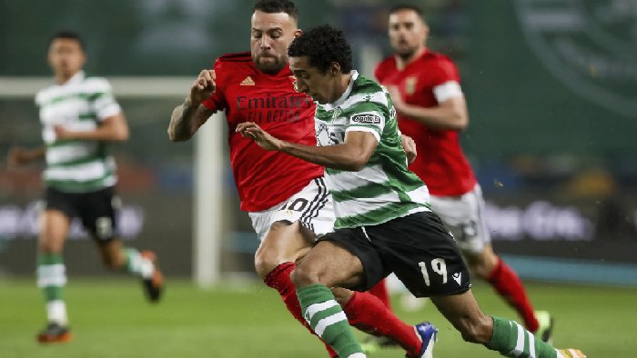 Soi kèo thơm hôm nay 12/11 trận Benfica vs Sporting Lisbon chuẩn xác nhất