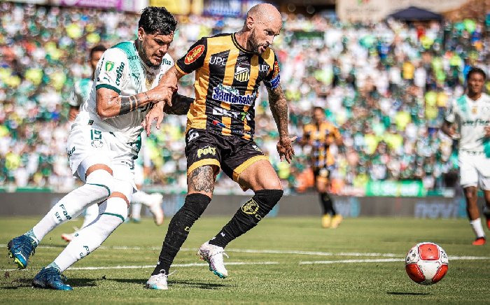 Nhận định, soi kèo Palmeiras vs Novorizontino, 7h35 ngày 29/3: Khó cưỡng nhà vô địch