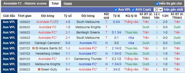 Nhận định, soi kèo Avondale vs Dandenong City, 11h15 ngày 10/2 - Ảnh 2