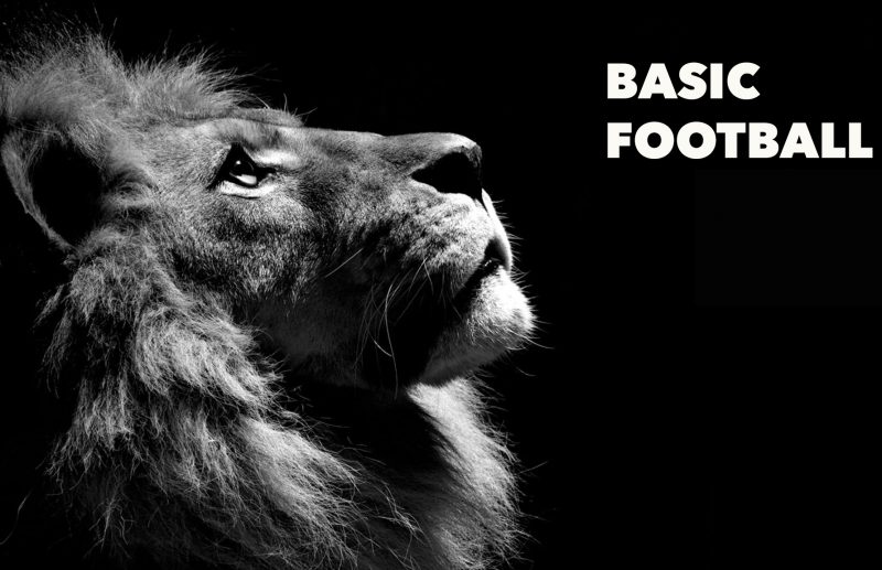 BASIC FOOTBALL: HUẤN LUYỆN BÓNG ĐÁ CƠ BẢN